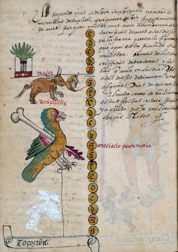 A bird with yellow feathers is shown stabbed with a bone tool. Also included is a bull and moon, as well as a symbol with many leaves.