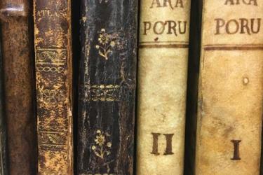 Photograph of book bindings found at the John Carter Brown Library.