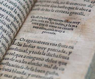 Detail from a printed book shows text in Spanish reading "Los aguacates es uno fruta en las Indias muy preciada, y medicinal."